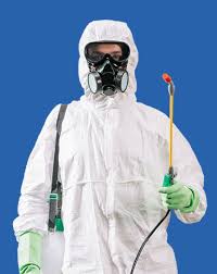 Эффективные способы травить тараканов в Новосибирске 0